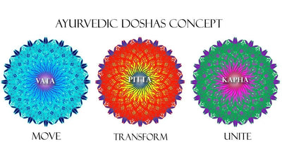 What Are The Characteristics Of Vata, Pitta, and Kapha?