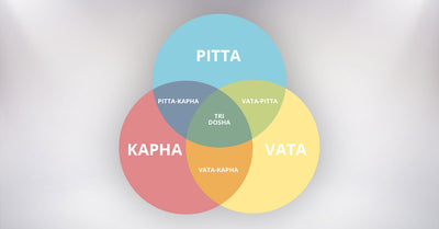 Let Us Learn About Discovering Your Body's Blueprint: Understanding Prakriti and Vikriti in Ayurveda