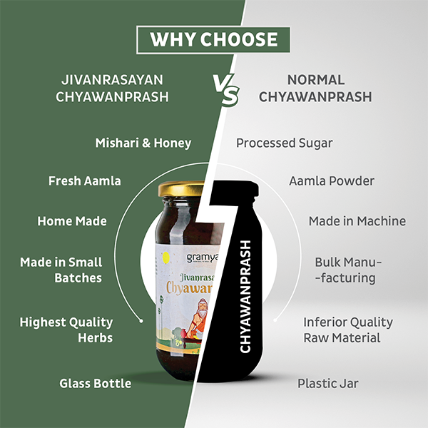 JivanRasayan Chyawanprash - Gramya Store